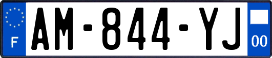 AM-844-YJ