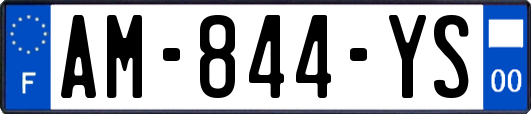 AM-844-YS