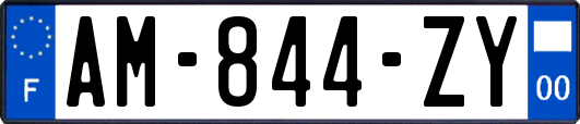 AM-844-ZY
