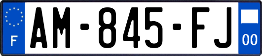 AM-845-FJ
