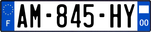 AM-845-HY