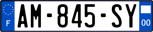 AM-845-SY