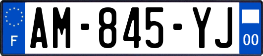 AM-845-YJ