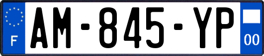 AM-845-YP