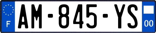 AM-845-YS