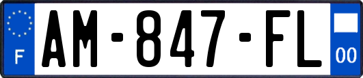 AM-847-FL