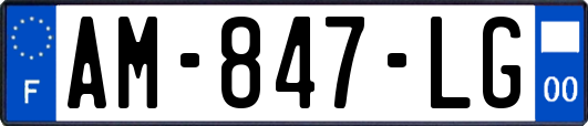 AM-847-LG
