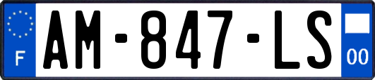 AM-847-LS