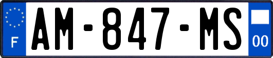 AM-847-MS