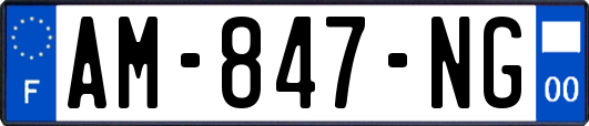 AM-847-NG
