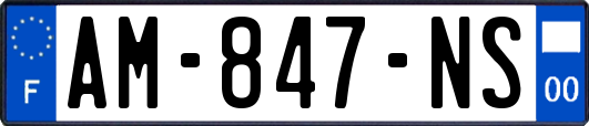 AM-847-NS