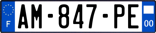 AM-847-PE