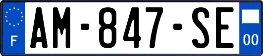 AM-847-SE