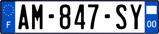 AM-847-SY