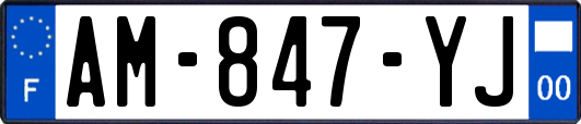 AM-847-YJ