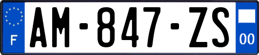 AM-847-ZS