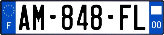 AM-848-FL