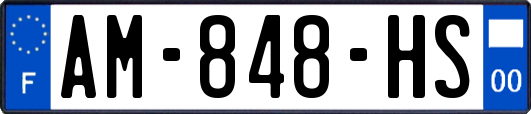 AM-848-HS