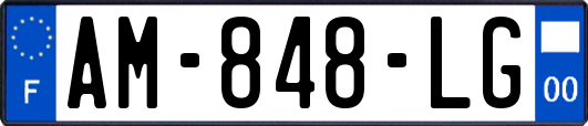 AM-848-LG