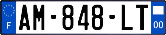 AM-848-LT