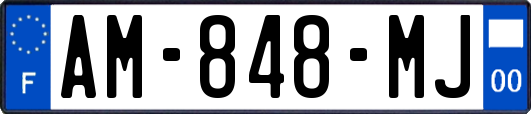 AM-848-MJ