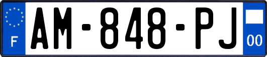 AM-848-PJ