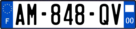 AM-848-QV