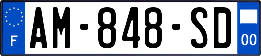 AM-848-SD