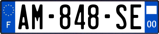 AM-848-SE