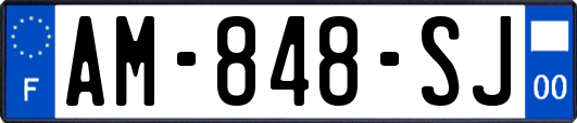 AM-848-SJ