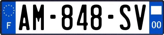AM-848-SV