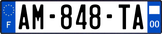 AM-848-TA