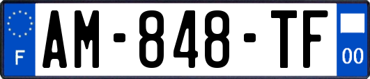 AM-848-TF