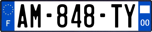 AM-848-TY