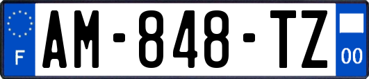 AM-848-TZ