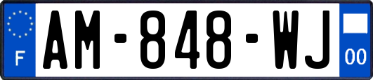 AM-848-WJ