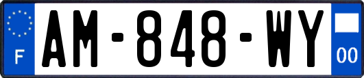 AM-848-WY