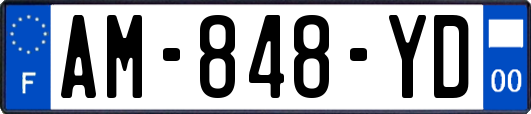 AM-848-YD