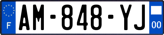 AM-848-YJ