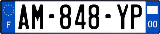 AM-848-YP