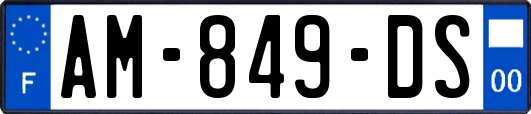 AM-849-DS