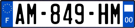 AM-849-HM