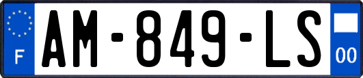 AM-849-LS