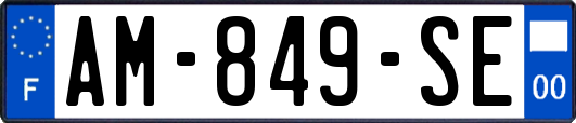AM-849-SE