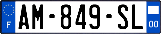 AM-849-SL