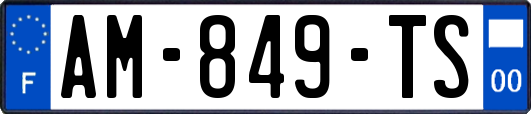 AM-849-TS