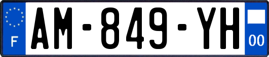 AM-849-YH