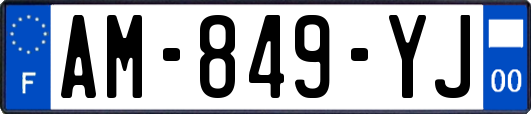 AM-849-YJ
