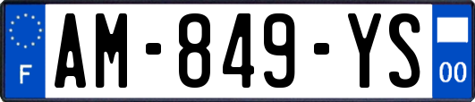 AM-849-YS