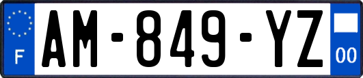 AM-849-YZ